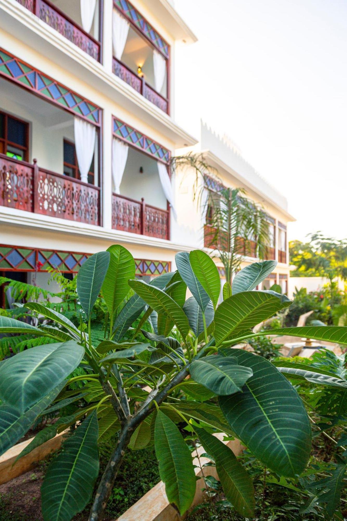 Tasneem Islamic Luxury Suites Jambiani  Dış mekan fotoğraf